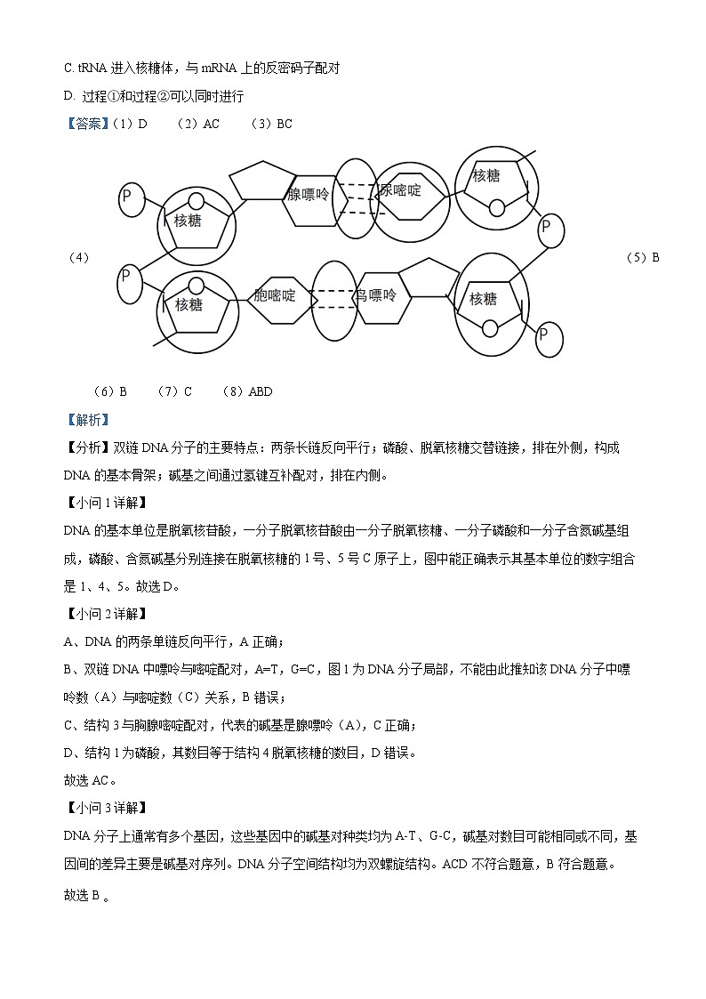 精品解析：上海市奉贤区致远高级中学2022-2023学年高一下学期期末教学评估生物试题（解析版）03