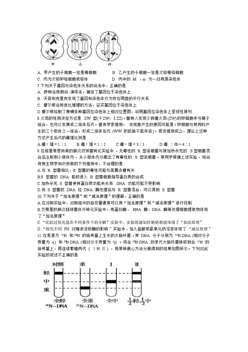 河南省许昌市2022-2023学年高一下学期期末考试生物试题02