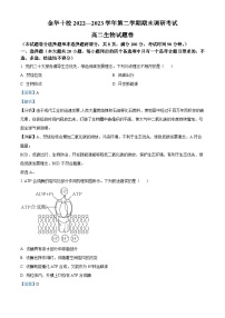 精品解析：浙江省金华十校2022-2023学年高二下学期期末调研考试生物试题（解析版）