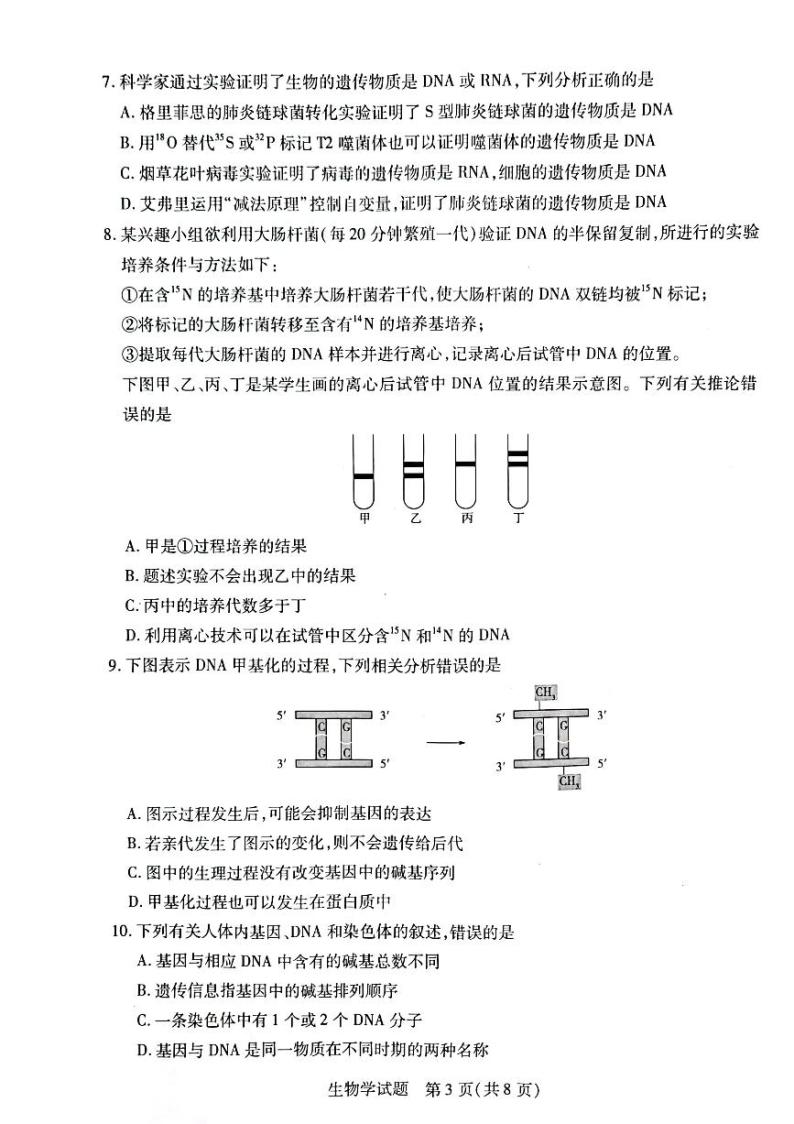 河南省平顶山市2022-2023学年第二学期高一年级期末调研生物试卷及答案03