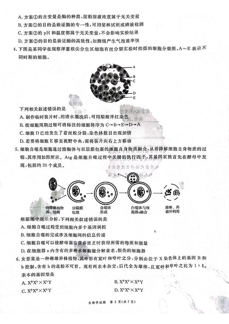 安徽省滁州市2022-2023学年高一下学期期末考试生物试题02