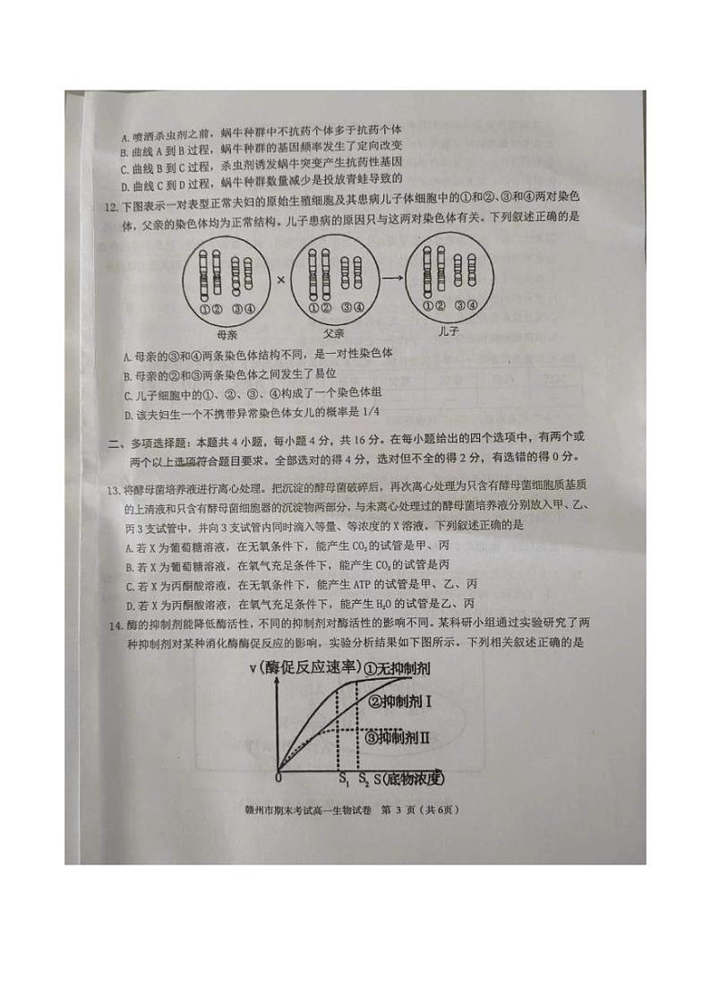 江西省赣州市2022-2023高一下学期期末生物试卷+答案03