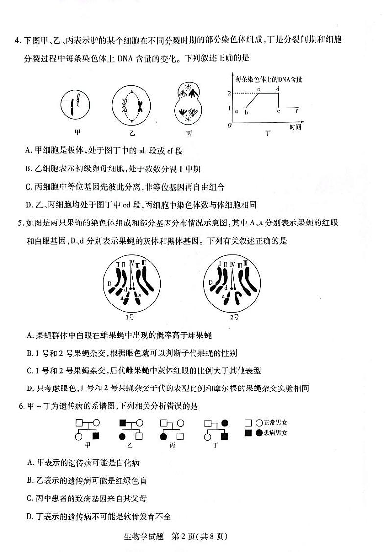平顶山市2022-2023学年下学期高一期末调研考试——生物学第2页
