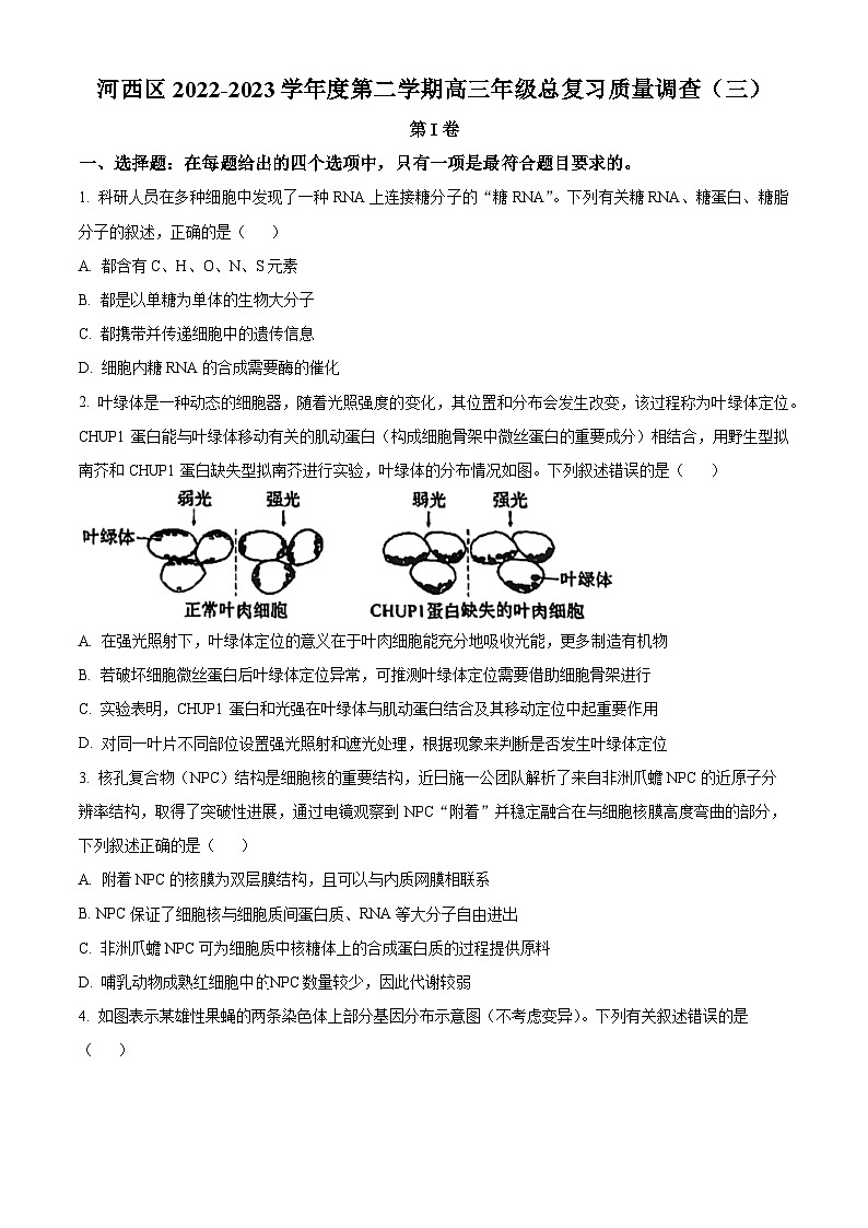 2023届天津市河西区高三下学期总复习质量调查生物试题（三）第1页