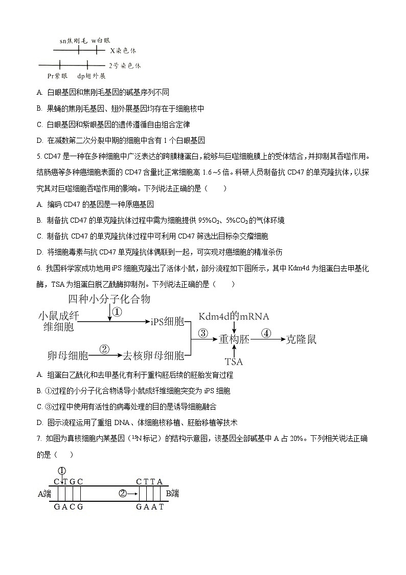 2023届天津市河西区高三下学期总复习质量调查生物试题（三）第2页