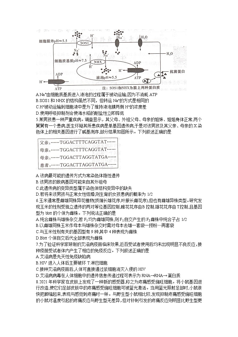 2023湖南名校联考联合体高二下学期期末联考试题生物含解析02