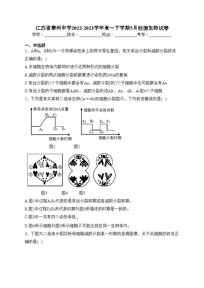 江苏省泰州中学2022-2023学年高一下学期5月检测生物试卷（含答案）01