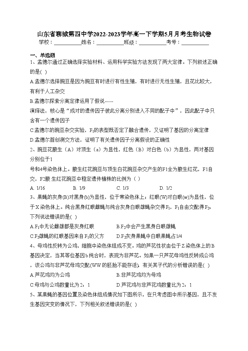 山东省聊城第四中学2022-2023学年高一下学期5月月考生物试卷（含答案）01