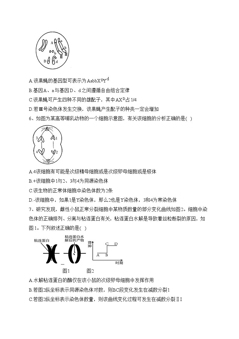 山东省聊城第四中学2022-2023学年高一下学期5月月考生物试卷（含答案）02