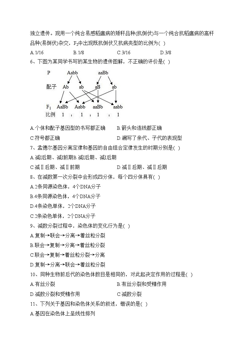 四川省成都市成华区某重点校2022-2023学年高一下学期6月月考生物试卷（含答案）02