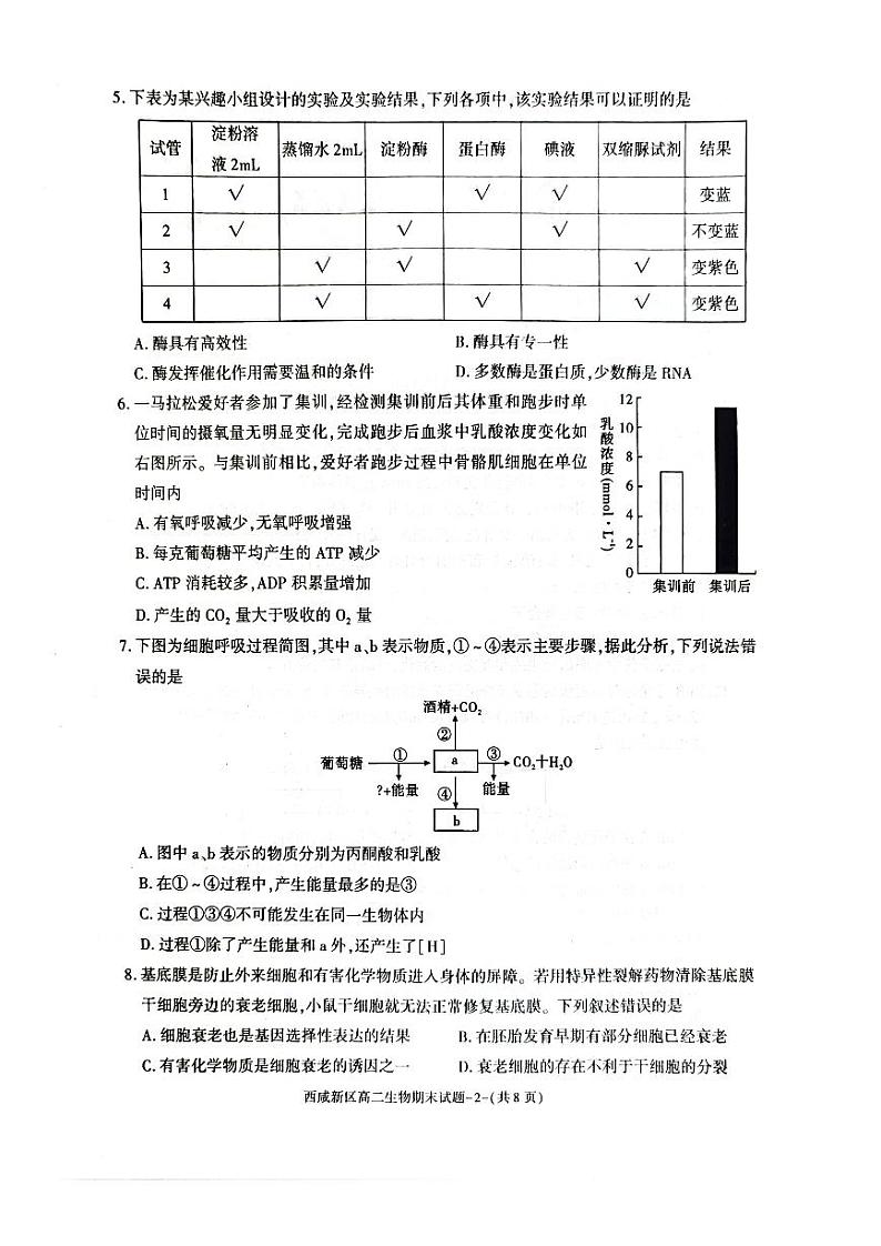 陕西省西咸新区2022∽2023高二下学期期末质量检测生物试卷+答案02