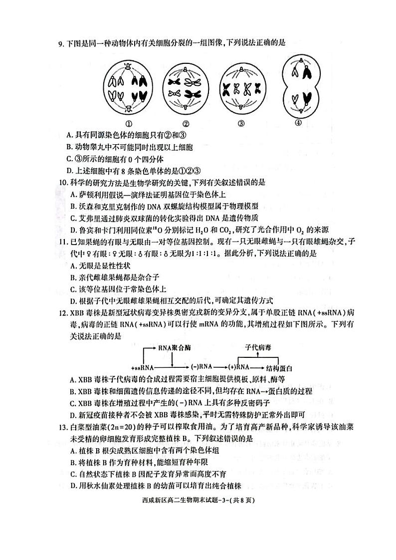 陕西省西咸新区2022∽2023高二下学期期末质量检测生物试卷+答案03