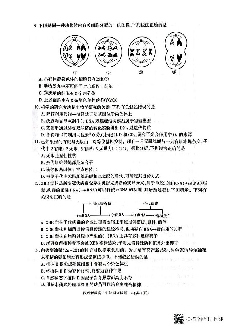 陕西省西咸新区2022∽2023学年高二下学期期末质量检测 生物试题及答案03