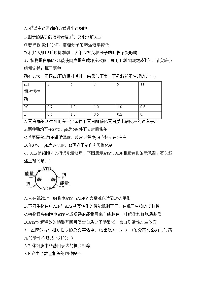 湖北省重点高中2022-2023学年高一下学期5月联考生物试卷（含答案）02