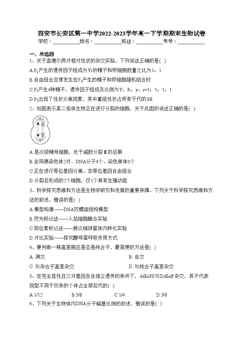 西安市长安区第一中学2022-2023学年高一下学期期末生物试卷（含答案）01