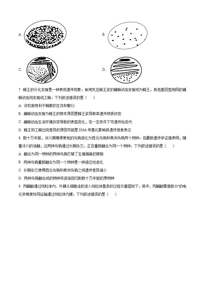 2023衢州高二下学期期末生物试题含解析02