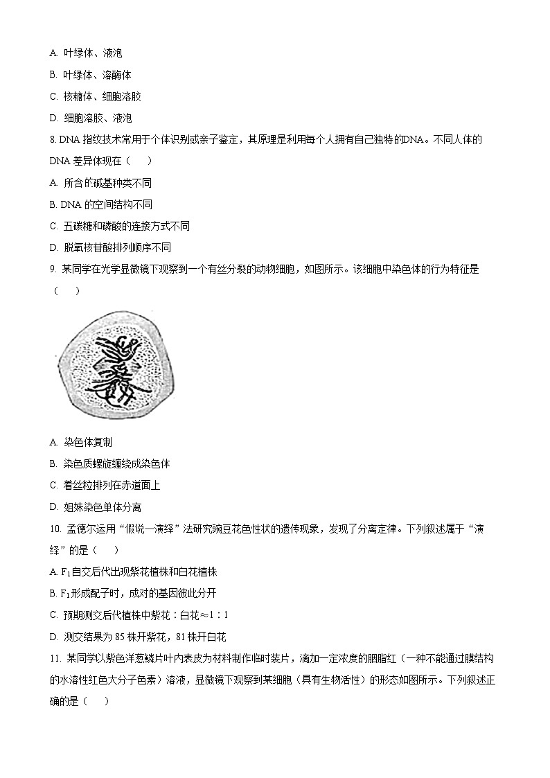 2023杭州高一下学期期末生物试题含解析02