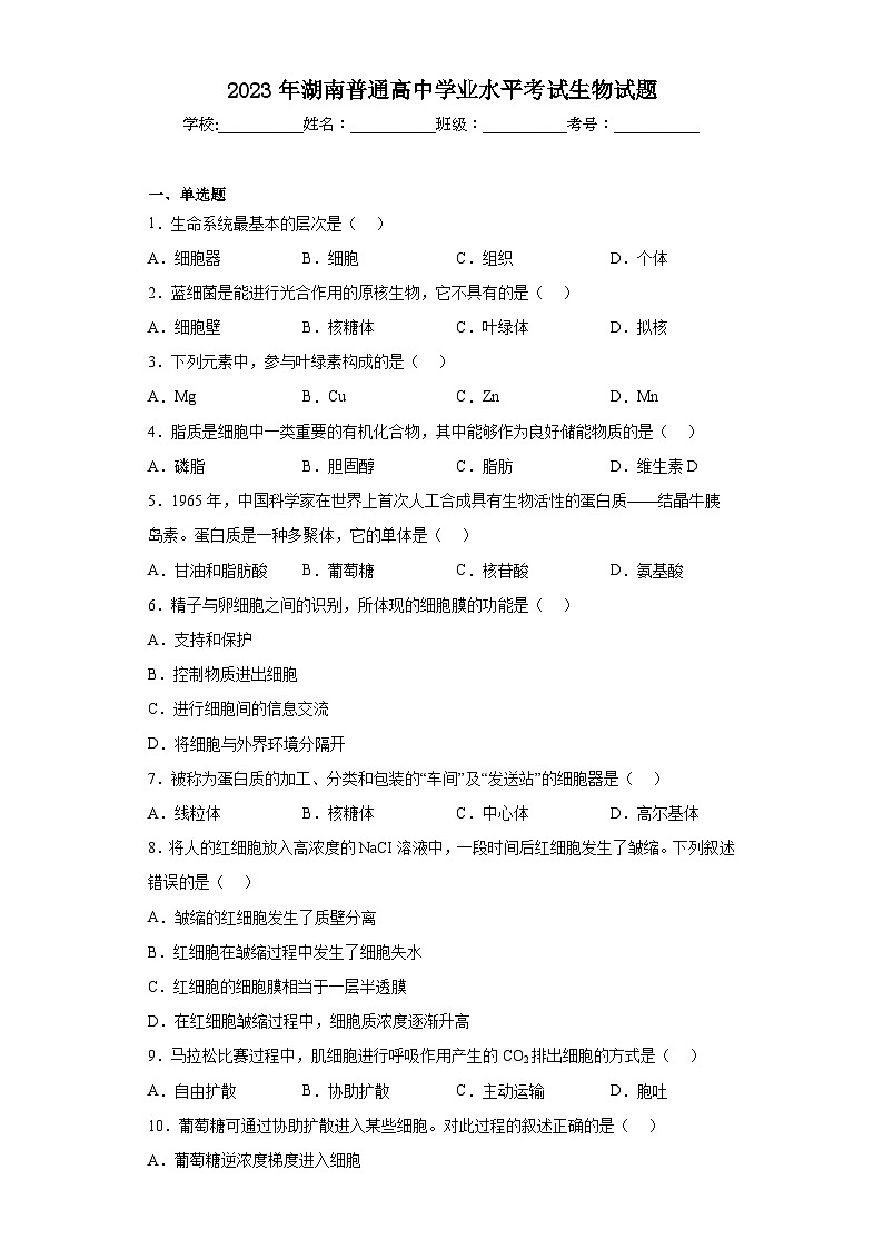 2023年湖南普通高中学业水平考试生物试题（含解析）01