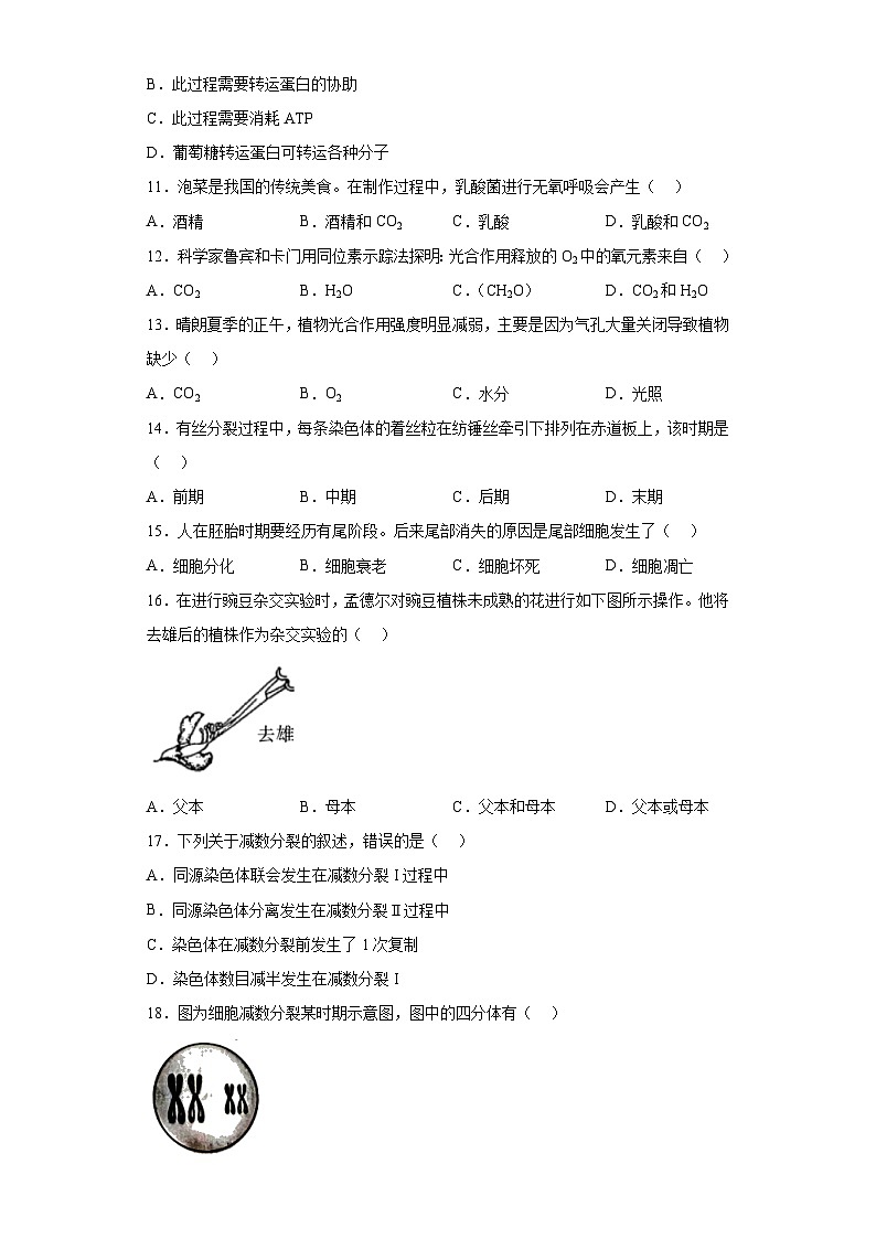 2023年湖南普通高中学业水平考试生物试题（含解析）02