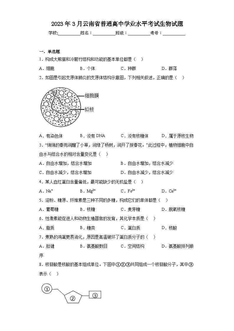 2023年3月云南省普通高中学业水平考试生物试题（含解析）01