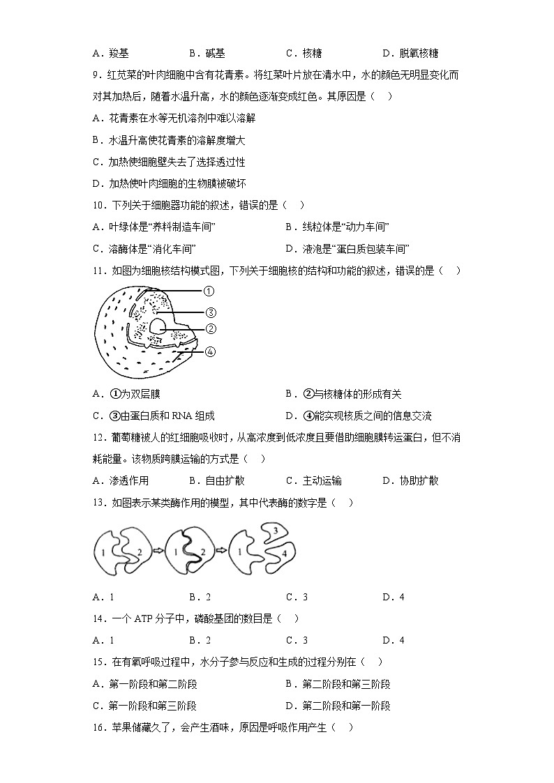 2023年3月云南省普通高中学业水平考试生物试题（含解析）02