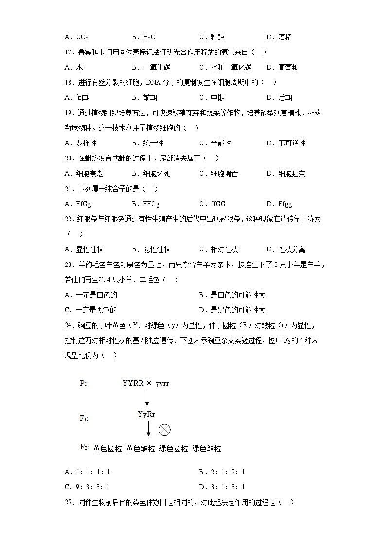 2023年3月云南省普通高中学业水平考试生物试题（含解析）03