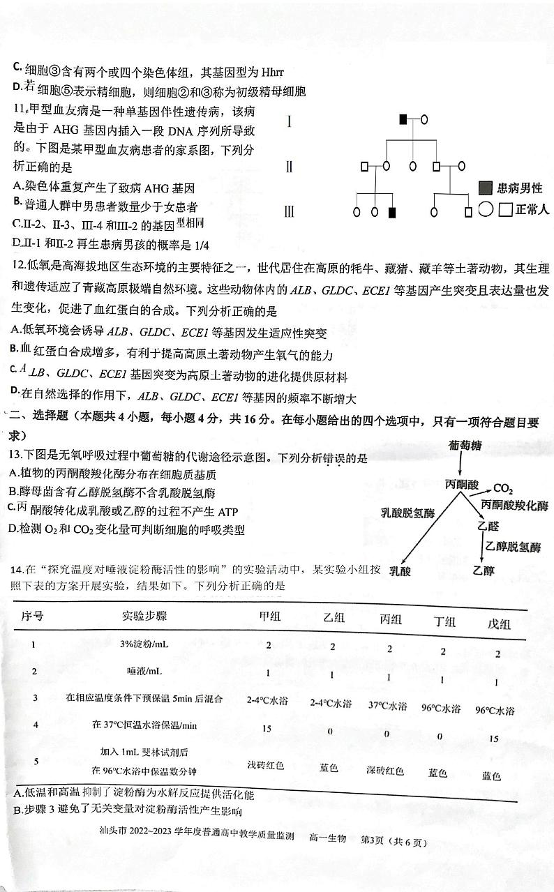 广东省汕头市2022-2023学年高一下学期期末考试生物试题03