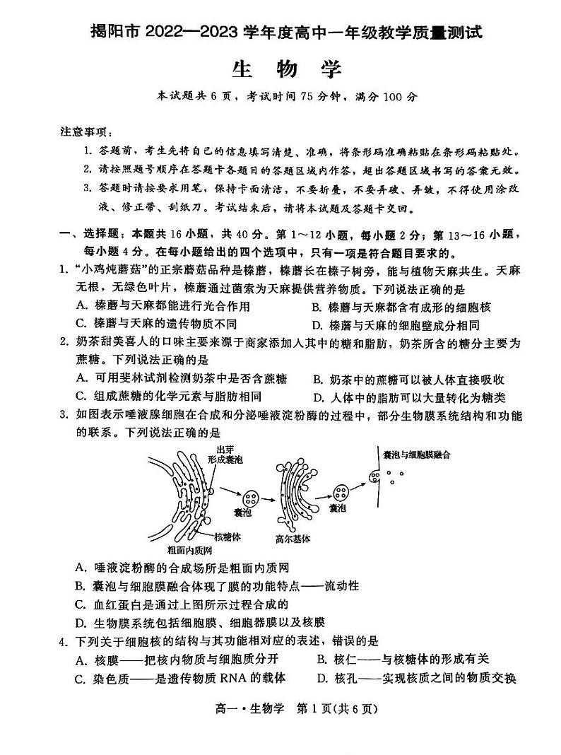 广东省揭阳市2022-2023学年高一下学期期末考试生物试题01