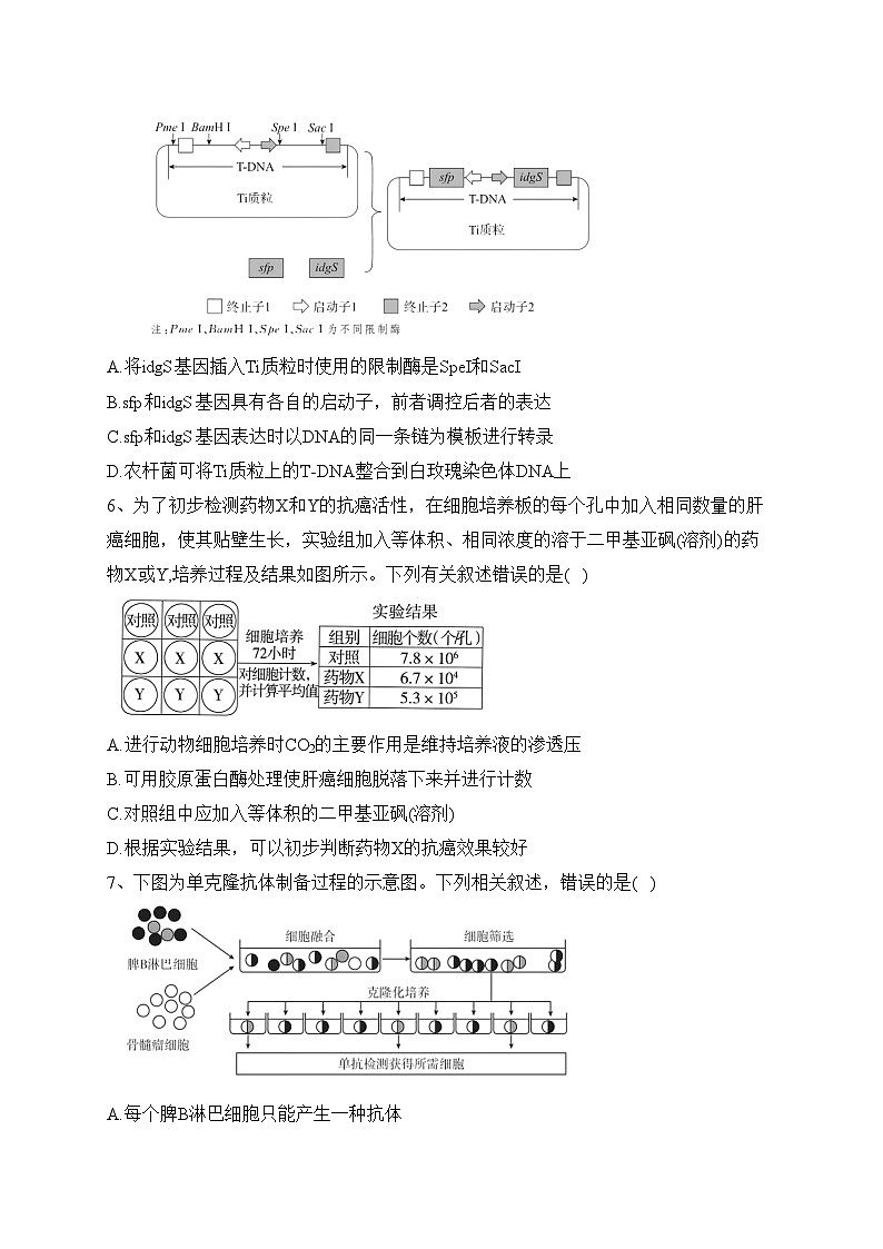湖北省武汉市部分学校2022-2023学年高二下学期期末联考生物试卷（含答案）02