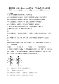 濮阳市第一高级中学2022-2023学年高一下学期6月月考生物试卷（含答案）