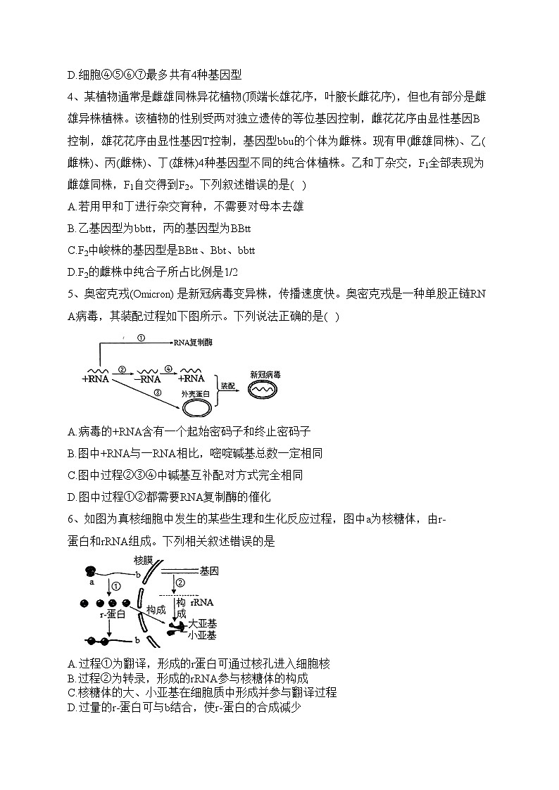 山东省枣庄市滕州市第一中学2022-2023学年高一下学期6月月考生物试卷（含答案）02