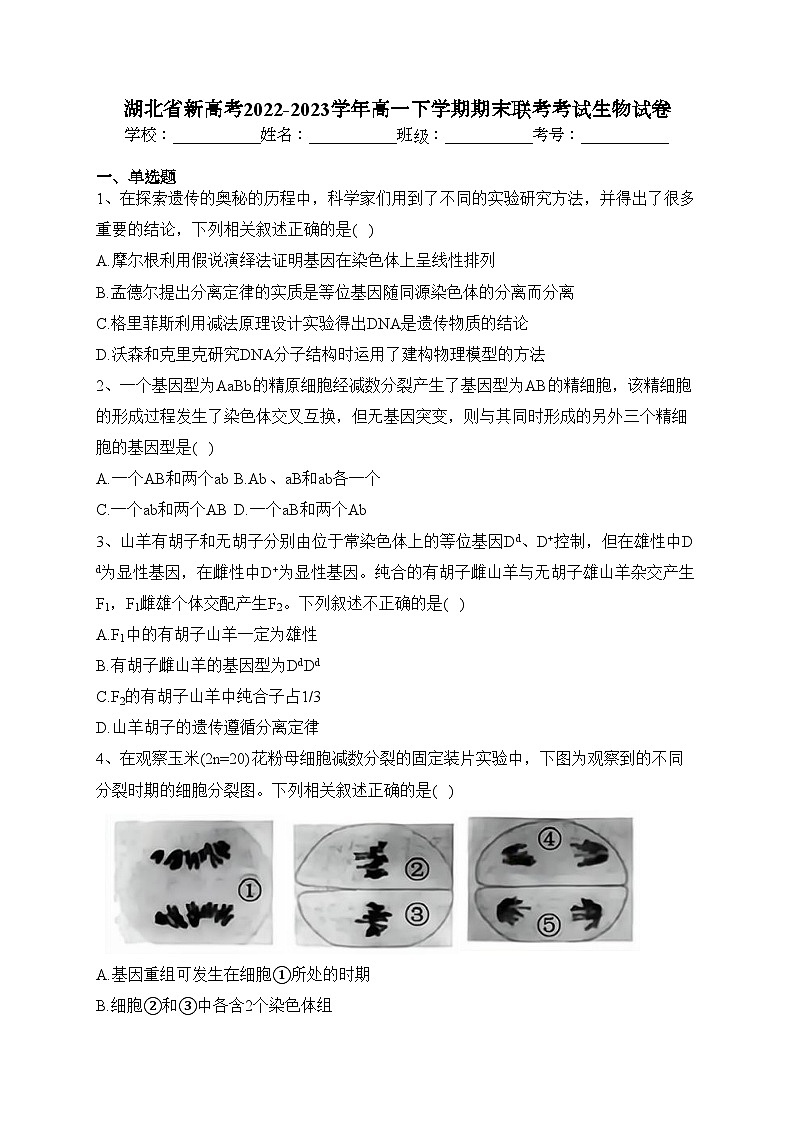 湖北省新高考2022-2023学年高一下学期期末联考考试生物试卷（含答案）第1页