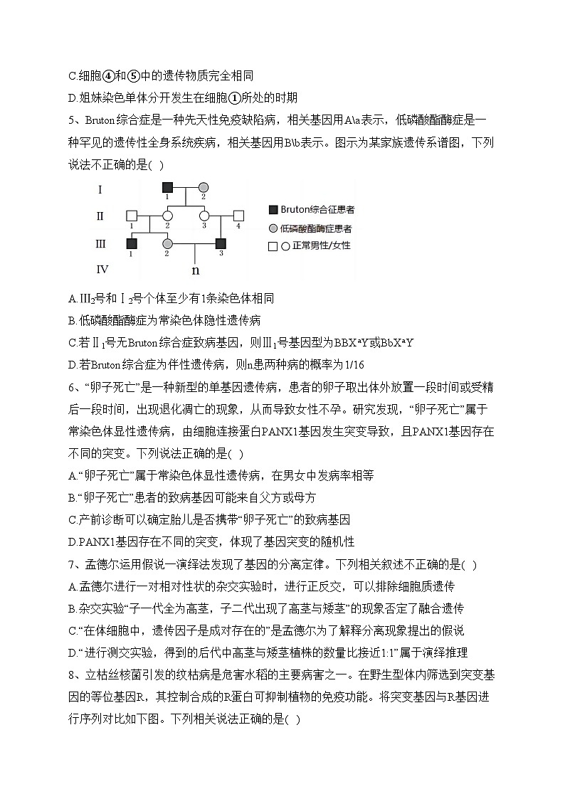 湖北省新高考2022-2023学年高一下学期期末联考考试生物试卷（含答案）第2页