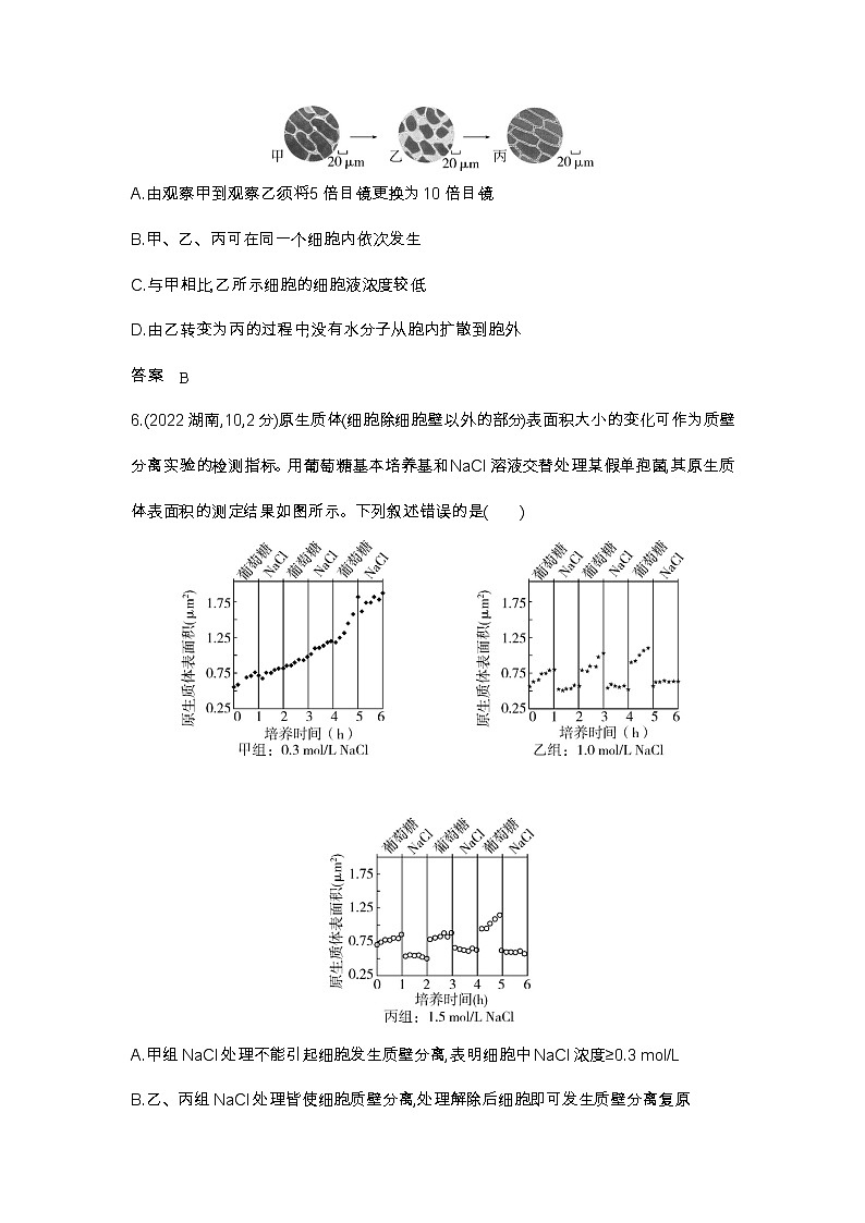 2023北京高考总复习生物 专题三 物质进出细胞的方式（试题word）第3页