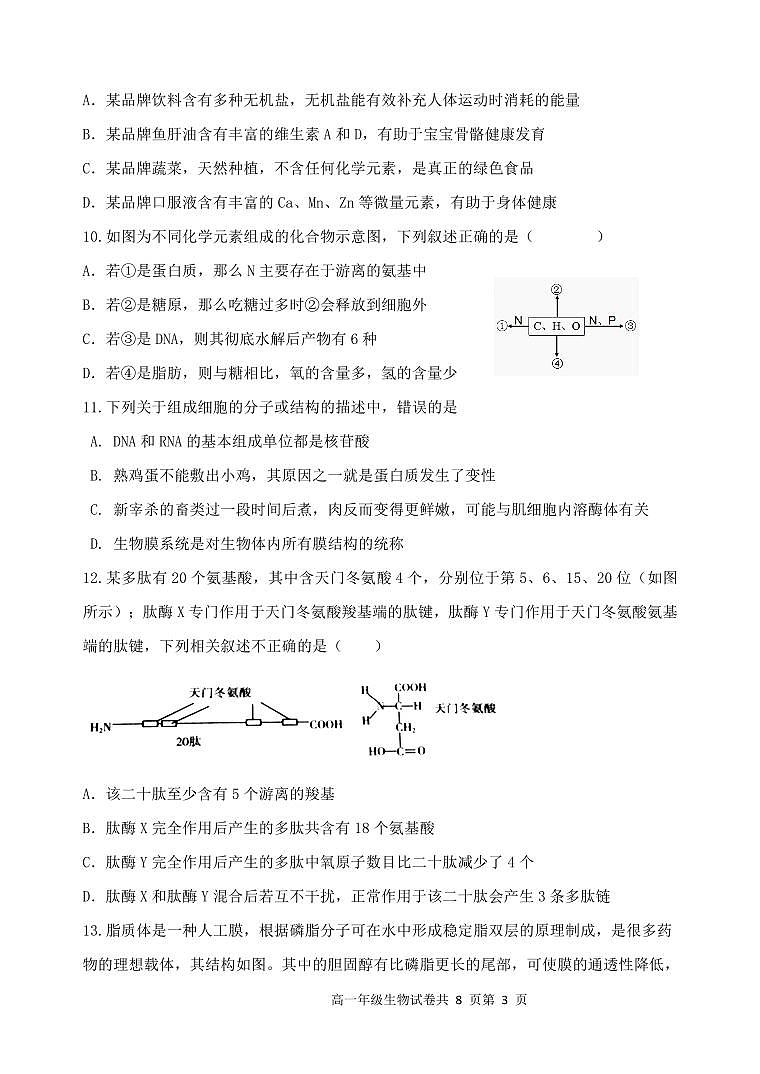湖北省部分省级示范高中2022-2023学年高一上学期期中质量检测生物试题03