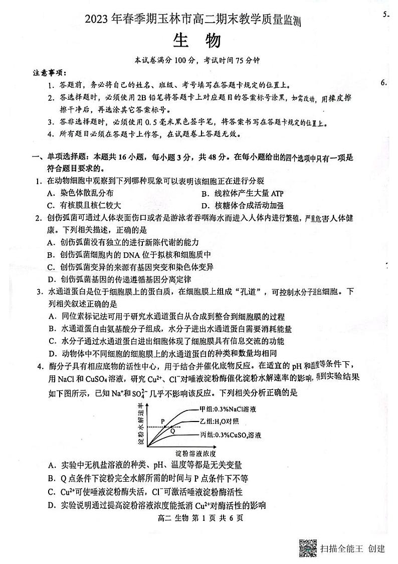 广西壮族自治区玉林市2022-2023学年高二下学期7月期末生物试题01
