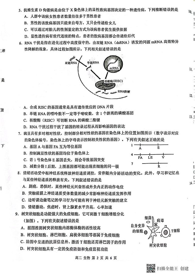 广西壮族自治区玉林市2022-2023学年高二下学期7月期末生物试题02