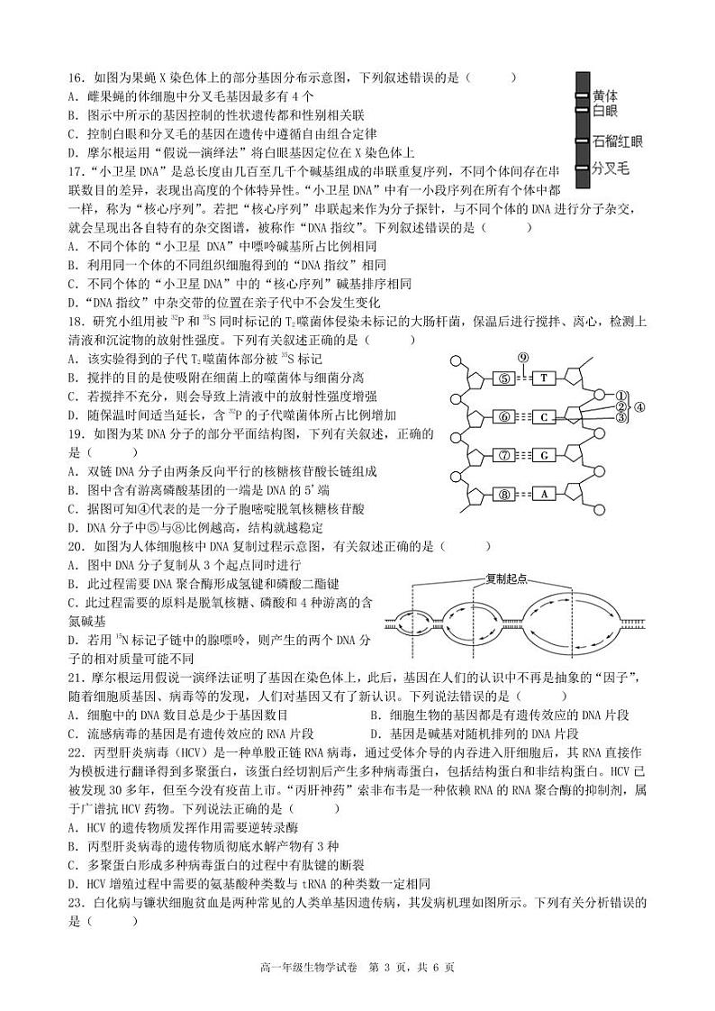 安徽省合肥六校联盟2022-2023学年高一下学期期末联考生物试卷03