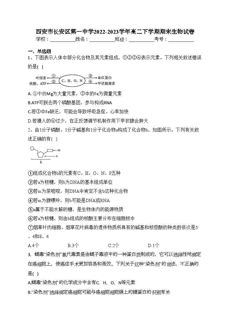 西安市长安区第一中学2022-2023学年高二下学期期末生物试卷（含答案）01