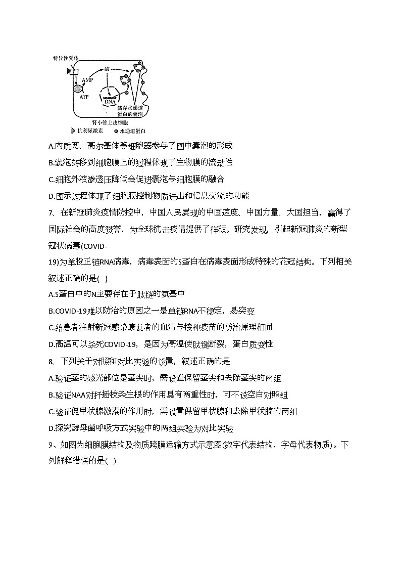 西安市长安区第一中学2022-2023学年高二下学期期末生物试卷（含答案）03