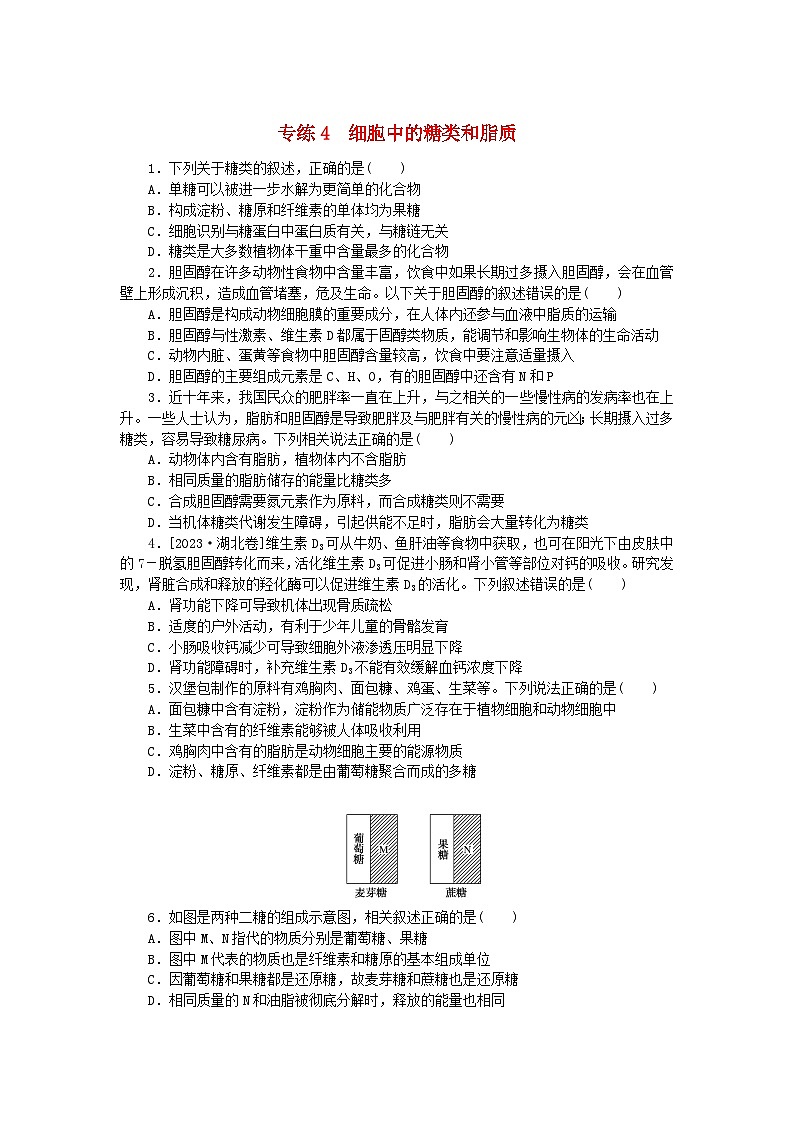 新高考2024版高考生物一轮复习微专题小练习专练4细胞中的糖类和脂质01