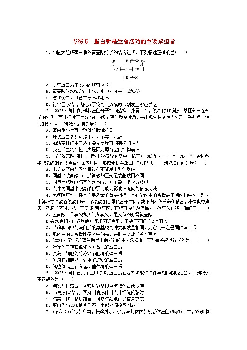 新高考2024版高考生物一轮复习微专题小练习专练5蛋白质是生命活动的主要承担者第1页
