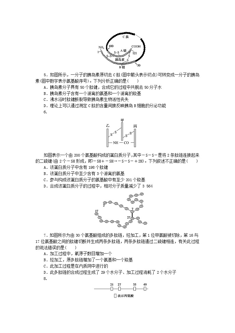 新高考2024版高考生物一轮复习微专题小练习专练6蛋白质的计算分析02