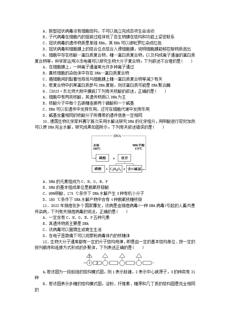 新高考2024版高考生物一轮复习微专题小练习专练7核酸是遗传信息的携带者02