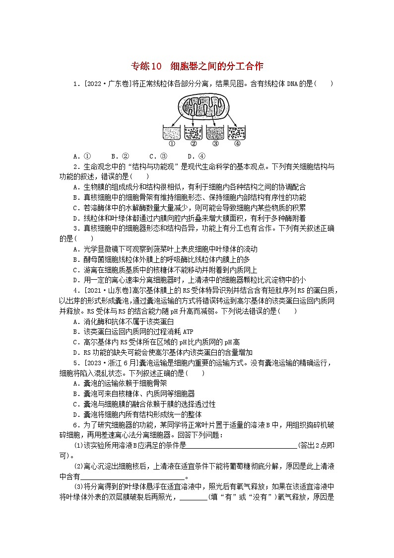 新高考2024版高考生物一轮复习微专题小练习专练10细胞器之间的分工合作第1页