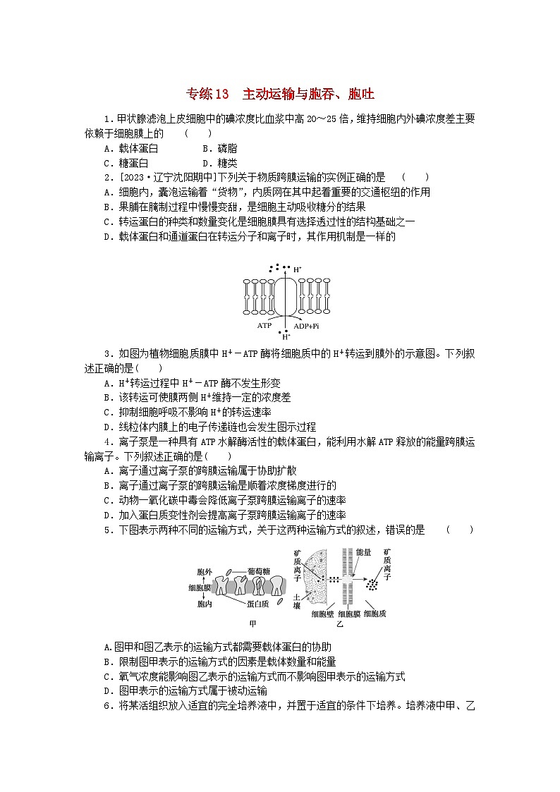新高考2024版高考生物一轮复习微专题小练习专练13主动运输与胞吞胞吐第1页