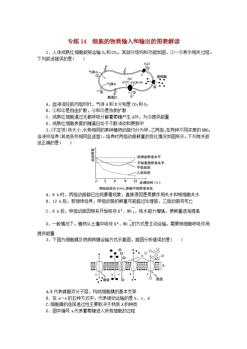 新高考2024版高考生物一轮复习微专题小练习专练14细胞的物质输入和输出的图表解读01