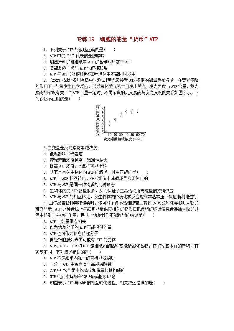 新高考2024版高考生物一轮复习微专题小练习专练19细胞的能量“货币”ATP01
