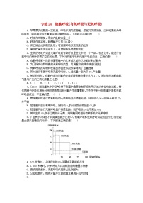 新高考2024版高考生物一轮复习微专题小练习专练24细胞呼吸有氧呼吸与无氧呼吸