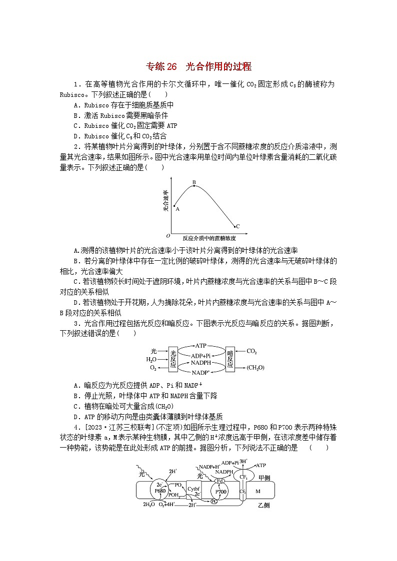 新高考2024版高考生物一轮复习微专题小练习专练26光合作用的过程第1页